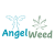 Angel Weed