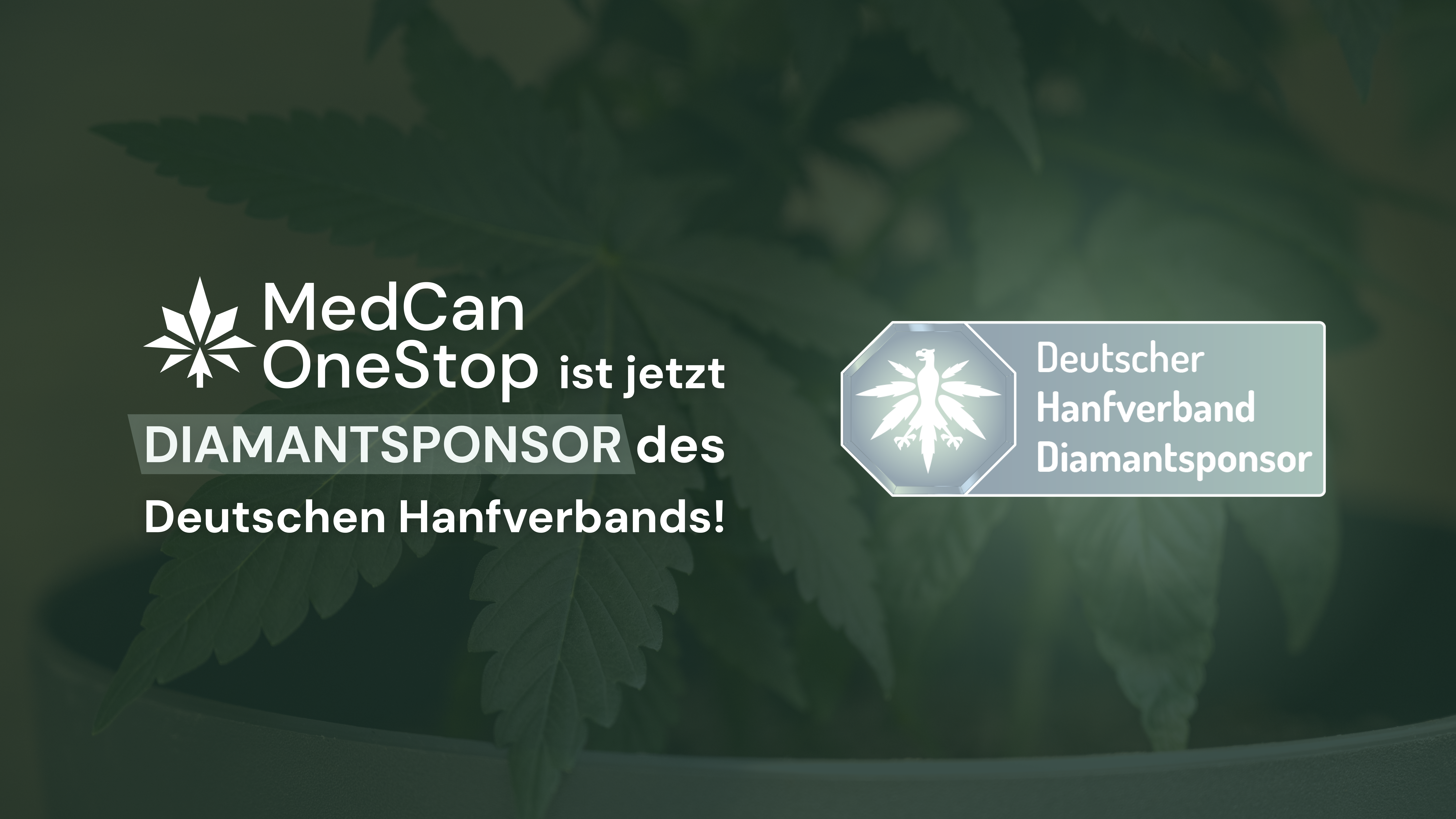 MedCanOneStop wird Diamant-Sponsor des Deutschen Hanfverbands: Ein starkes Zeichen für die Cannabis Legalisierung