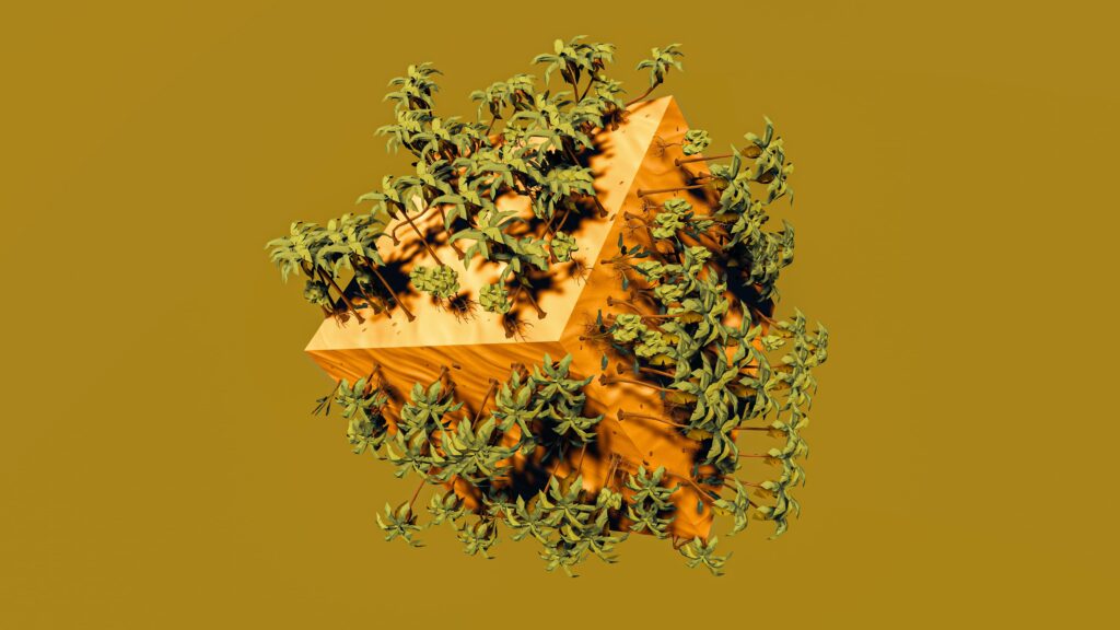 Der Entourage-Effekt: Warum die Kombination von Cannabinoiden und Terpenen entscheidend ist